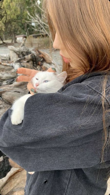 Сайт знакомств ВКонтакте поиск партнера и общение в социальной сети фото