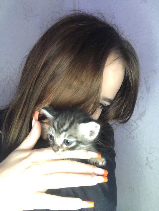 Скачать приложение Друг Вокруг для поиска общения и новых встреч фото