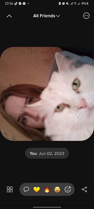 Где и как познакомиться в Петропавловске-Камчатском реальные советы и проверенные места фото