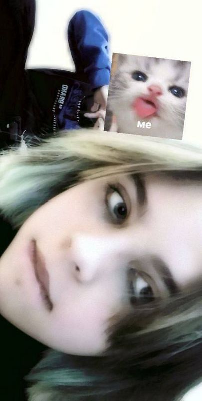 Сайт знакомств в Ставрополе без регистрации и бесплатно для серьезных отношений