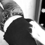 Город Енакиево история промышленный центр Донбасса и его достопримечательности