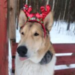 Рубцовск ищет новые знакомства для романтики дружбы и общения