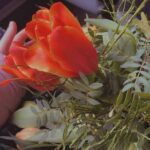 Знакомства ВКонтакте Иркутск поиск общения и встреч в вашем городе