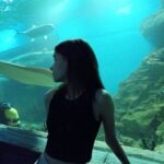 Бибо моя страница настройка профиля и поиск партнеров для отношений