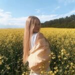 Сколько частей в фильме Знакомство с Факерами история сиквелов и римейка