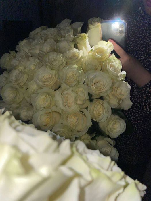 Вход на Теамо моя страница сайт знакомств Теамо личный кабинет фото