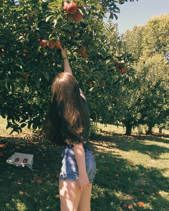 Как зарегистрироваться на сайте знакомств Табор инструкция для новичков Как зарегистрироваться на сайте знакомств Табор инструкция для новичков фото