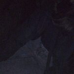 Поиск знакомств рядом со мной на карте города и окрестностей