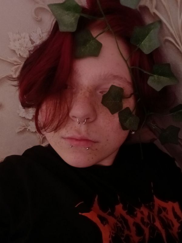 Лучшие бесплатные сайты знакомств для поиска отношений и общения фото