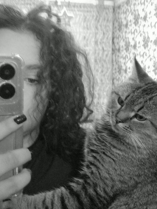 Знакомства на Табор без регистрации бесплатно через мобильный телефон фото