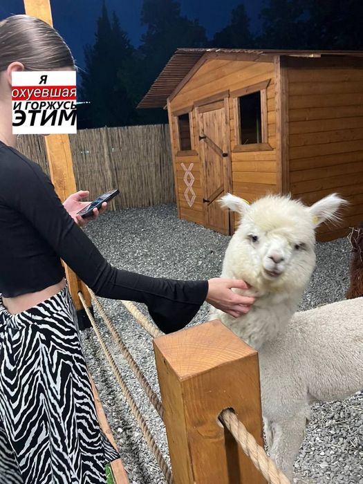 Shalom Friends Ваш шанс найти еврейскую пару для серьезных отношений фото