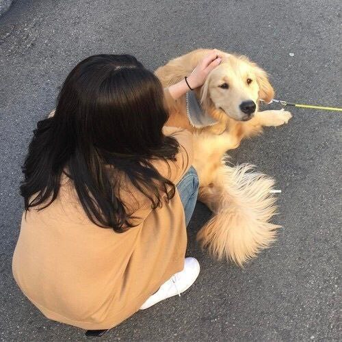 Бесплатные знакомства в Краснодаре без регистрации для серьезных отношений фото