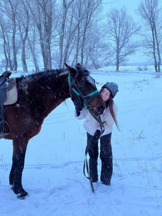 Мамба сайт знакомств отзывы пользователей о плюсах и минусах сервиса фото