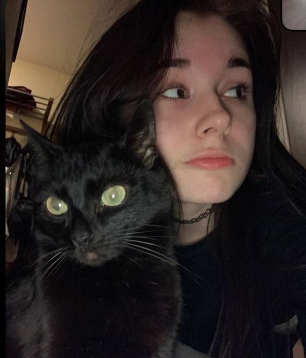 Как найти любовь в Телеграм руководство по знакомствам в мессенджере фото