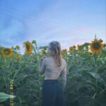 Сайты и приложения для знакомств в Пензе обзор популярных сервисов