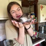 Смотрите онлайн фильм Знакомство родителей 2025 бесплатно в хорошем качестве