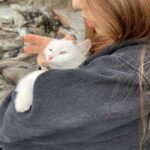 F4 знакомство