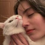 Hi Cat сайт для общения с кошатниками и поиска друзей по интересам