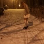 Знакомство с Белгородом история и современность культурные традиции и достопримечательности