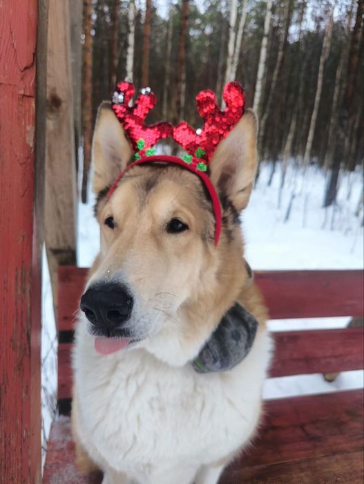 Знакомства осинники