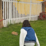 Знакомства в Красноярске без регистрации на сайте для серьезных отношений