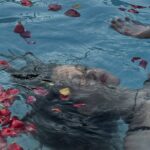 Секс знакомства в Краснодаре проверенные способы найти партнера для встреч