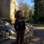 Секс знакомства в Луганске поиск партнеров для интимных встреч