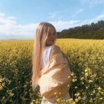 Сколько частей в фильме Знакомство с Факерами история сиквелов и римейка