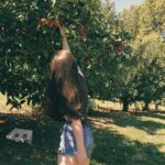 Как зарегистрироваться на сайте знакомств Табор инструкция для новичков