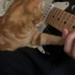 Популярные сайты знакомств в екатеринбурге