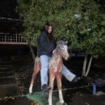 Телеграм чаты для знакомств как найти общение